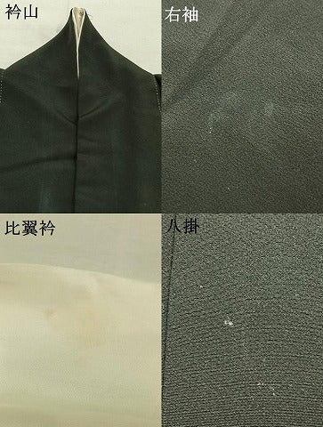 平和屋着物●京友禅作家　元橋宏太郎　黒留袖　風景松文　金彩　正絹　逸品　AABM4231fy