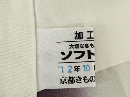 平和屋着物●訪問着　紬地　南天文　金銀彩　京都きもの友禅扱い　正絹　逸品　AABM4323ck