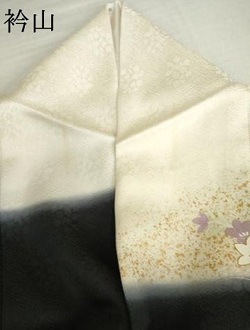 平和屋着物●訪問着　駒刺繍　吉祥草花文　暈し染め　金彩　ロング丈　正絹　逸品　AABM5465cs