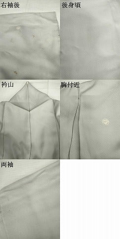 平和屋着物●豪華色留袖　駒刺繍　枝花文　暈し染め　正絹　逸品　AABM5526cs