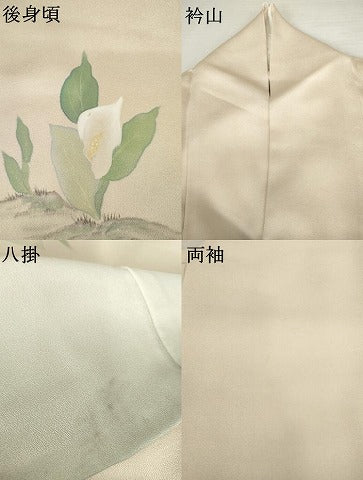 平和屋着物●訪問着　手描き　カラー　枝花文　正絹　逸品　AABM5548cs