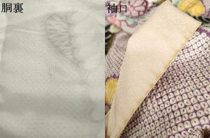 平和屋着物●訪問着　絞り　草花文　金彩　ロング丈　正絹　逸品　AABM5567cs