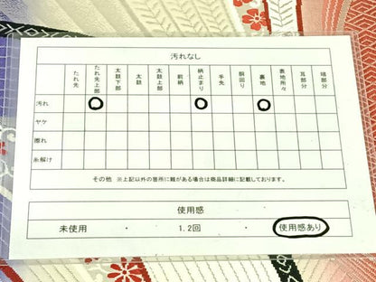 平和屋着物◎六通柄袋帯　孔雀羽文　銀糸　正絹　逸品　AABM5657dk