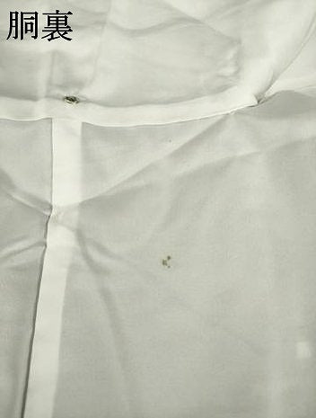 平和屋着物●本場琉球絣　紬　正絹　逸品　AABM5721ck