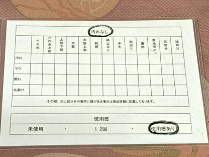 平和屋着物◎六通柄袋帯　風景丸文　正絹　逸品　AABM6127dk