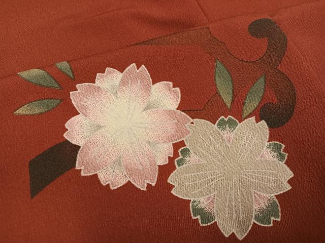平和屋着物●撫松庵　小紋　桜　梅　綿　洗える着物　AABM6203ph