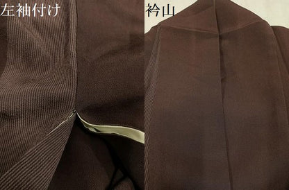 平和屋着物●訪問着　お召地　草木文　正絹　逸品　AABM6215ph