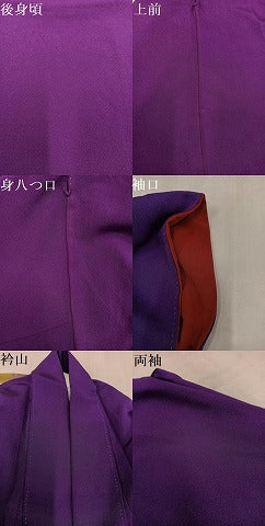 平和屋着物●豪華振袖　草花文　暈し染め　金彩　ロング丈　正絹　逸品　AABM6219ph