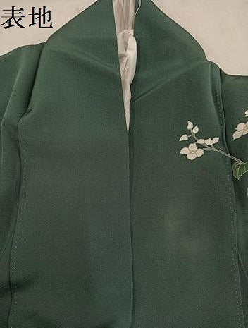 平和屋着物●訪問着　友禅　作家物　地紙枝花文　暈し染め　正絹　逸品　AABM6268ph