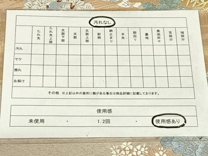 平和屋着物◎両面六通柄袋帯　唐織　風景文　金銀糸　正絹　逸品　AABM6474dk