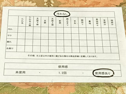 平和屋着物◎佐賀錦　六通柄袋帯　草花文　金糸　正絹　逸品　AABM6475dk