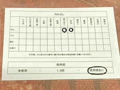 平和屋着物◎六通柄袋帯　古代壁画文様　引箔　正絹　逸品　AABM6477dk
