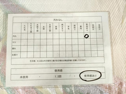 平和屋着物◎両面六通柄袋帯　飛鶴文　銀糸　正絹　逸品　AABM6487od