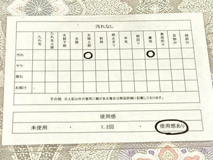 平和屋着物◎六通柄袋帯　唐織　王朝サガラ　立涌花文　プラチナ本銀二重織　正絹　逸品　AABM7453dk