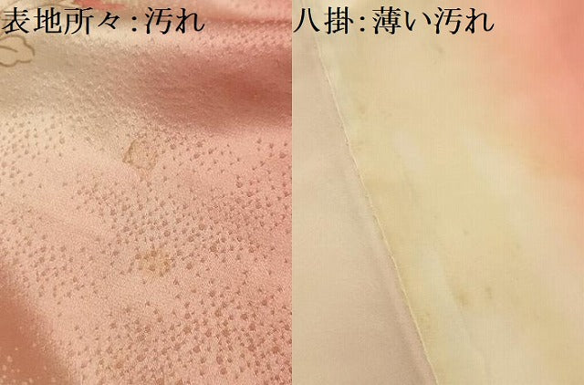 平和屋着物■豪華振袖　駒刺繍　草花文　暈し染め　金彩　正絹　逸品　AABM7505sx