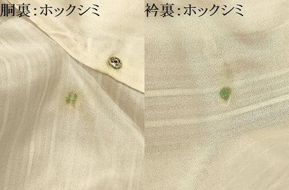 平和屋着物■上質な小紋　間道　正絹　逸品　AABM7538sx