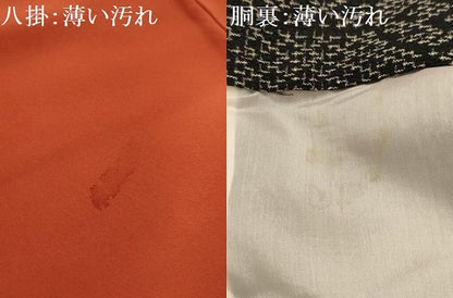 平和屋着物■上質な紬　亀甲文　黒地　正絹　逸品　AABM7547sx