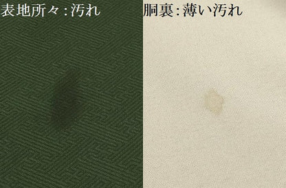 平和屋着物■小振袖　二尺袖　手描き　草花文　金彩　洗える着物　AABM7549sx