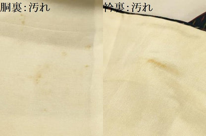 平和屋着物■色留訪問着　霞文　鬼しぼ縮緬　正絹　逸品　AABM7570sx