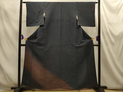 平和屋着物■色留訪問着　霞文　鬼しぼ縮緬　正絹　逸品　AABM7570sx