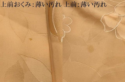 平和屋着物■上質な小紋　地紋起こし　草花文　暈し染め　正絹　逸品　AABM7686sx