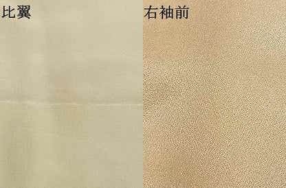 平和屋着物●豪華色留袖　刺繍　草花松文　金彩　正絹　逸品　AABM8204fy