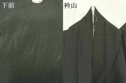 平和屋着物●豪華黒留袖　花鳥枝梅松風景文　金銀彩　正絹　逸品　未使用　AABM8246fy　