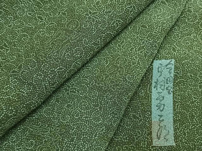 平和屋着物●重要無形文化財　人間国宝　中村勇二郎　江戸小紋　国宝平等院雲中供養菩薩像五十二　正絹　逸品　AABM8424fy