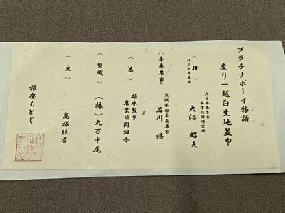 平和屋着物●男性　銀座もとじ　長羽織　プラチナボーイ　利休白茶色　たとう紙　証紙　反端付き　正絹　逸品　AABM8466fy