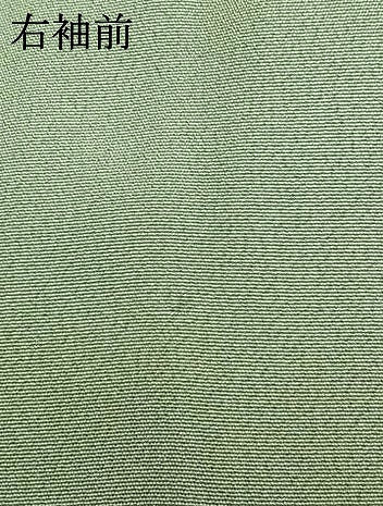 平和屋着物●訪問着　友禅　草花文　暈し染め　正絹　逸品　AABM8544fy