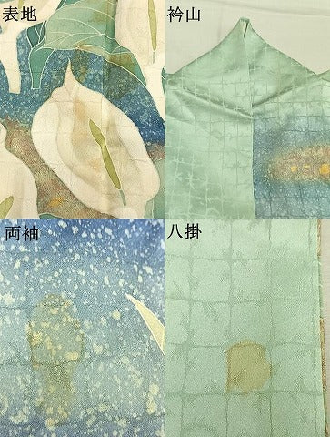 平和屋着物●訪問着　友禅　作家物　水芭蕉　暈し染め　金彩　正絹　逸品　AABM8633fy