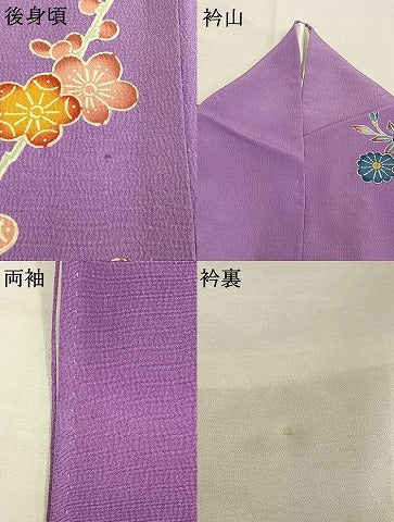平和屋着物●豪華振袖　型染め　花鳥文　暈し染め　正絹　逸品　AABM8652fy