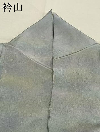 平和屋着物●虹色創家　本郷大田子　小紋　霞文　正絹　逸品　AABM8661fy