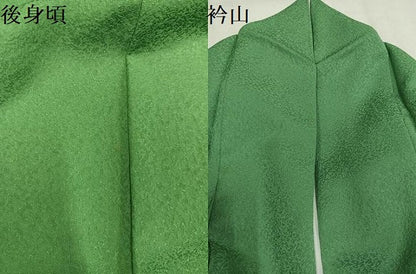 平和屋着物●本草木染作家　瑞寶　色無地　紋意匠　松葉色　正絹　逸品　AABM8786ph