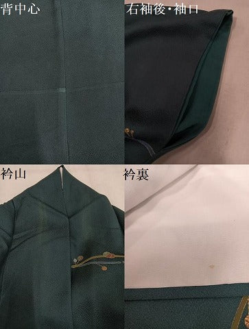 平和屋着物●訪問着　枝葉文　金彩　正絹　逸品　AABM8900ph
