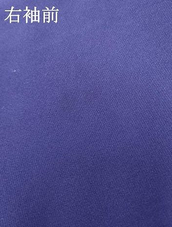平和屋着物●豪華振袖　花蝶文　暈し染め　金銀彩　正絹　逸品　AABN0607cs