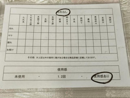 平和屋着物◎六通柄袋帯　900織佐賀錦　草花文　銀糸　正絹　逸品　AABN0978ps