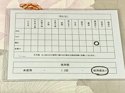 平和屋着物◎六通柄袋帯　唐織　舞花文　金銀糸　正絹　逸品　AABN1412dk