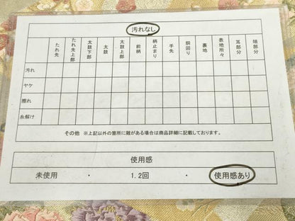 平和屋着物◎六通柄袋帯　唐織　地紙花文　金銀糸　正絹　逸品　AABN1525ou