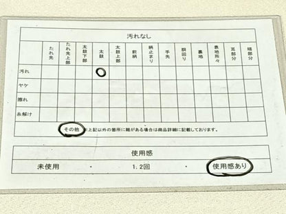 平和屋着物◎綴れ　太鼓柄袋帯　群れ鶴　金銀糸　正絹　逸品　AABN2215dk