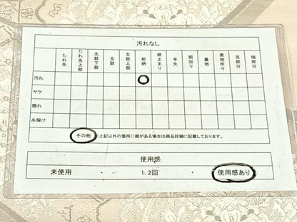 平和屋着物◎六通柄袋帯　唐織　更紗花丸文　銀糸　正絹　逸品　AABN2220dk