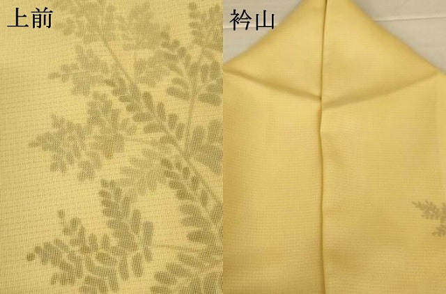 平和屋着物▽訪問着　無双　紗袷　紗×絽　枝葉文　ロング丈　正絹　逸品　AABN2263jd