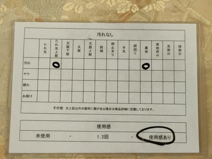 平和屋着物◎六通柄袋帯　螺鈿織　花蝶文　金糸　正絹　逸品　AABN2764ps