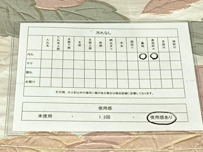 平和屋着物◎全通柄袋帯　枝花文　正絹　逸品　AABN2891dk