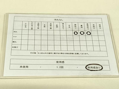 平和屋着物◎九寸名古屋帯　作家物　手描き　笹文　正絹　逸品　AABN2912dk