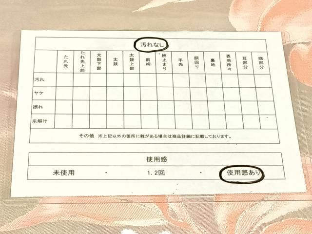 平和屋着物◎六通柄袋帯　枝花文　金銀糸　正絹　逸品　AABN3158dk