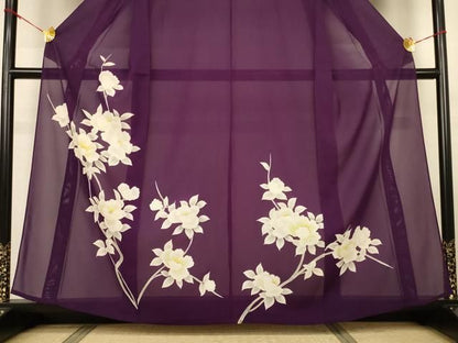 平和屋着物＊夏物　訪問着　絽　枝花文　正絹　逸品　AABN3371jd