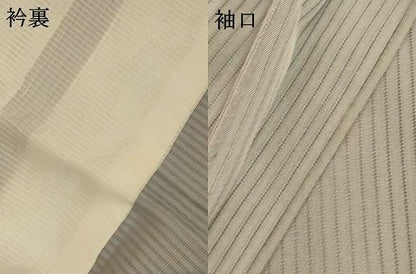 平和屋着物＊夏物　訪問着　縦絽　箔散らし間道　正絹　逸品　AABN3386jd