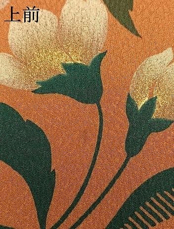 平和屋着物●訪問着　枝花文　金彩　正絹　逸品　AABN3634fy
