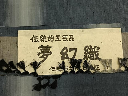 平和屋着物●伝統工芸士　池田光正作　紬　夢幻織　飛鳥文　証紙付き　正絹　逸品　未使用　AABN3650fy